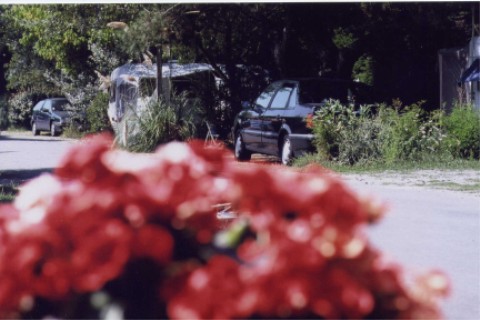 wempl06.jpg